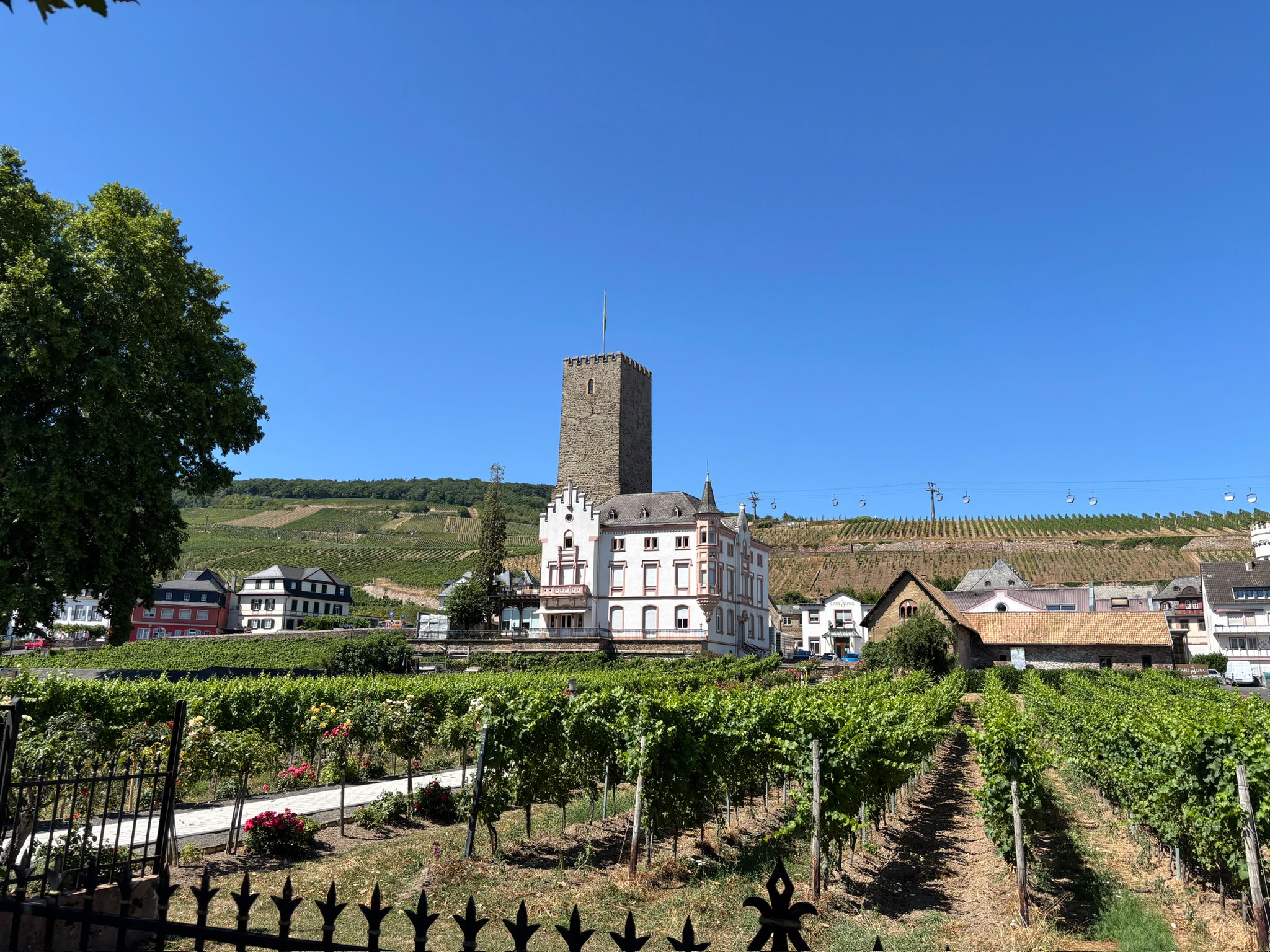 Rüdesheim am Rhein